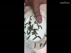 Dude jerks off after slipping slugs down his cock gap - pervertslut